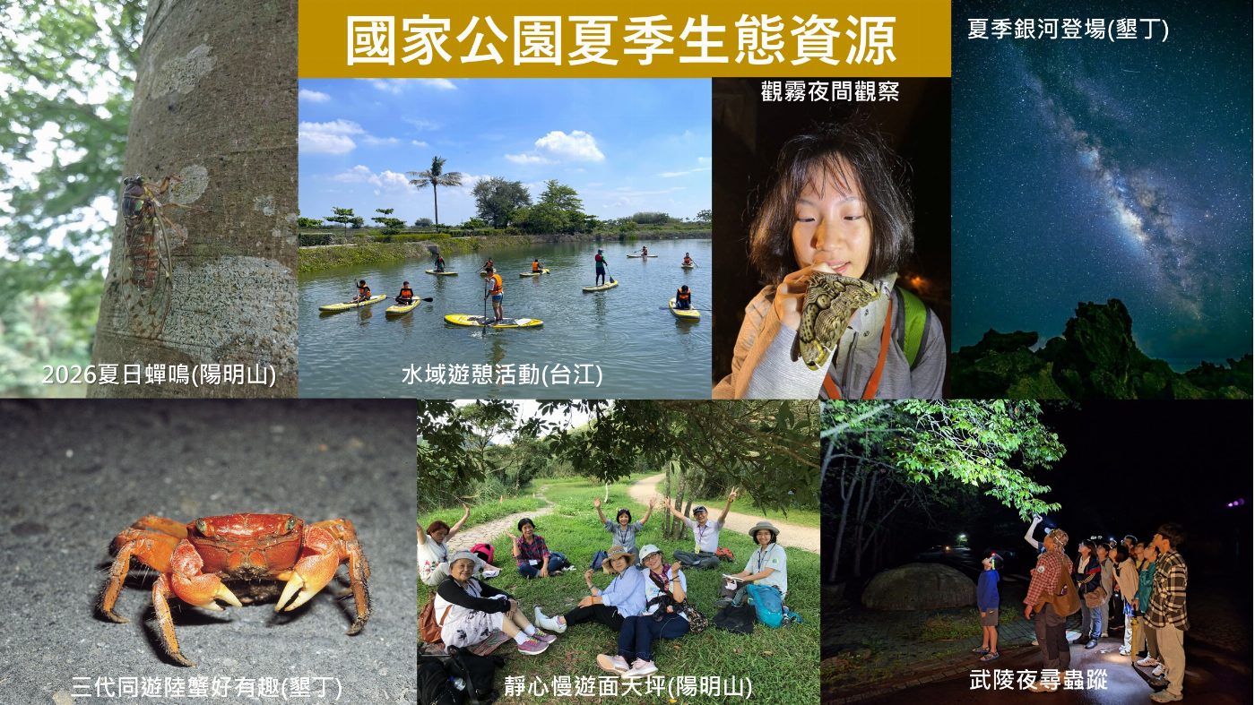 走向山林擁抱海洋 國家公園邀您夏季探索山海、樂學體驗、安全同行