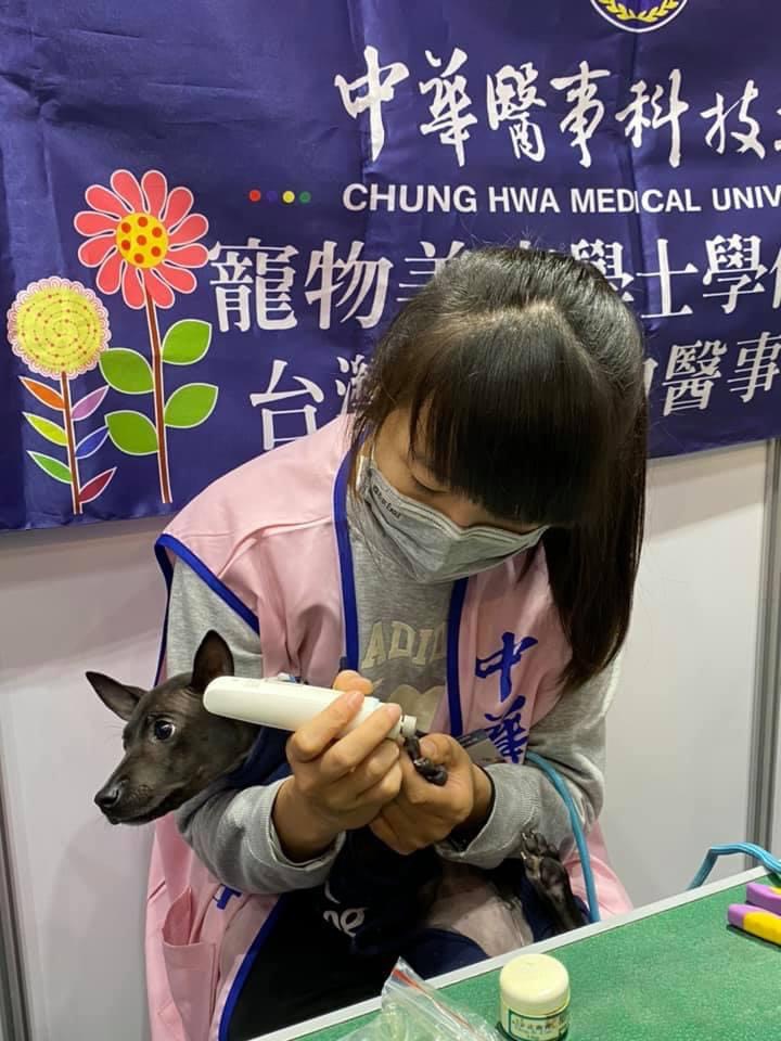 中華醫事科技大學寵護系攜手產官學界  4月26、27日舉喜公園戶外寵物主題市集「搖尾草狗狗派對」歡迎飼主帶寵物參加