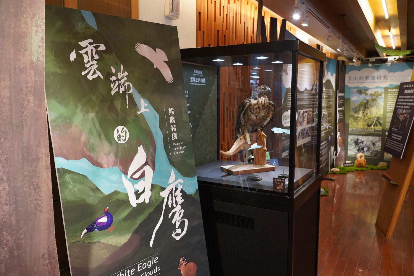 《飛吧！熊鷹》電影首映　玉山國家公園邀民眾共襄盛舉