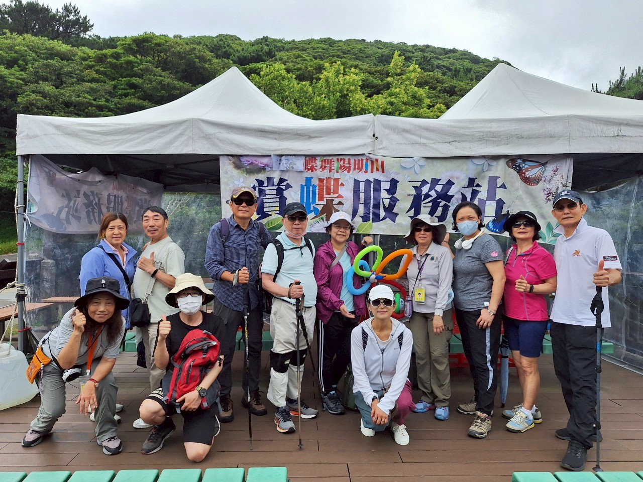 翩翩蝶影撫慰陽明山初夏晨曦