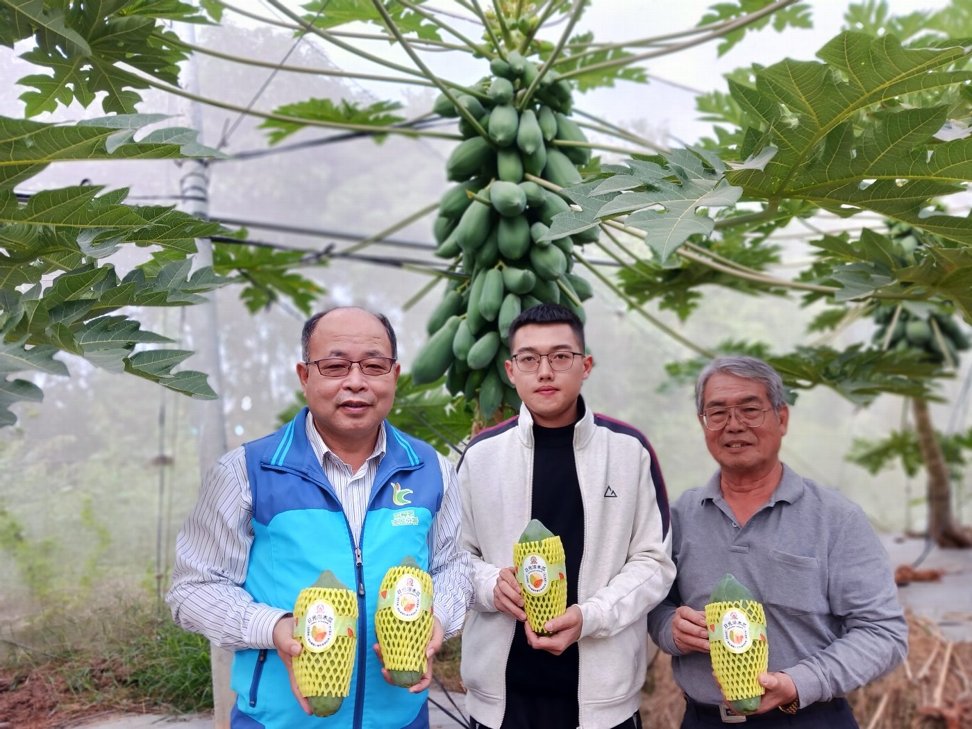 新科百大青農 以木瓜精彩青春歲月
